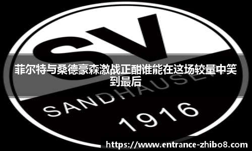 菲尔特与桑德豪森激战正酣谁能在这场较量中笑到最后